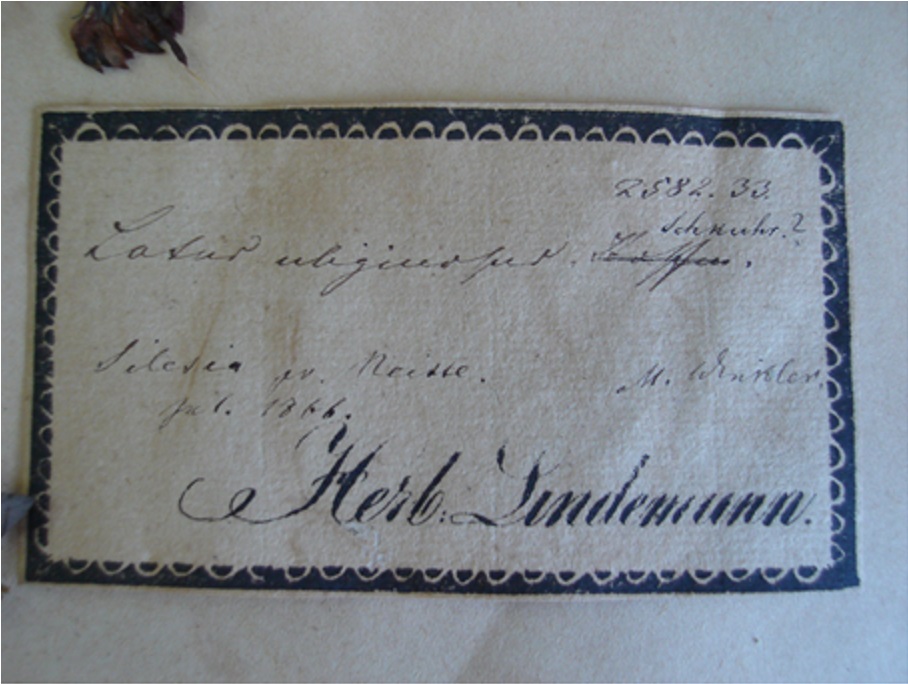 Етикетка Емануїла Ліндеманна